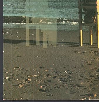 Amazon.com: Welcome To The Cruise [LP]: CDs & Vinyl